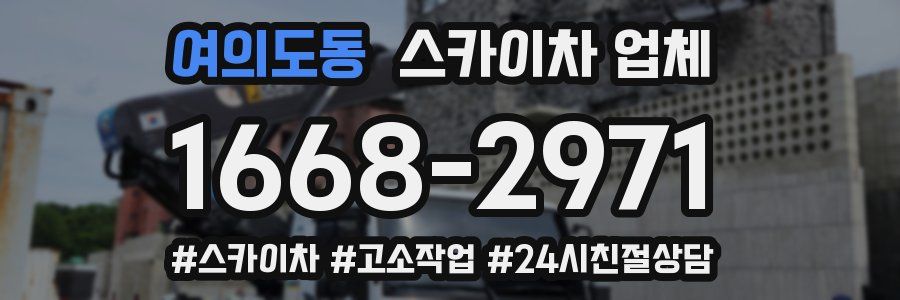 여의도동 스카이차 업체
