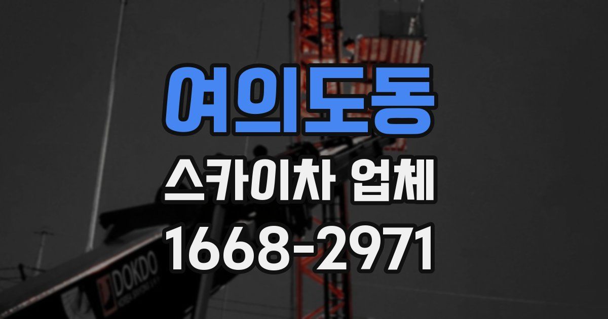 여의도동 스카이차 업체