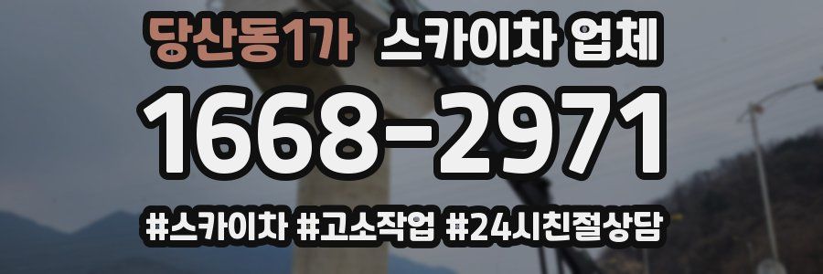 당산동1가 스카이차 업체