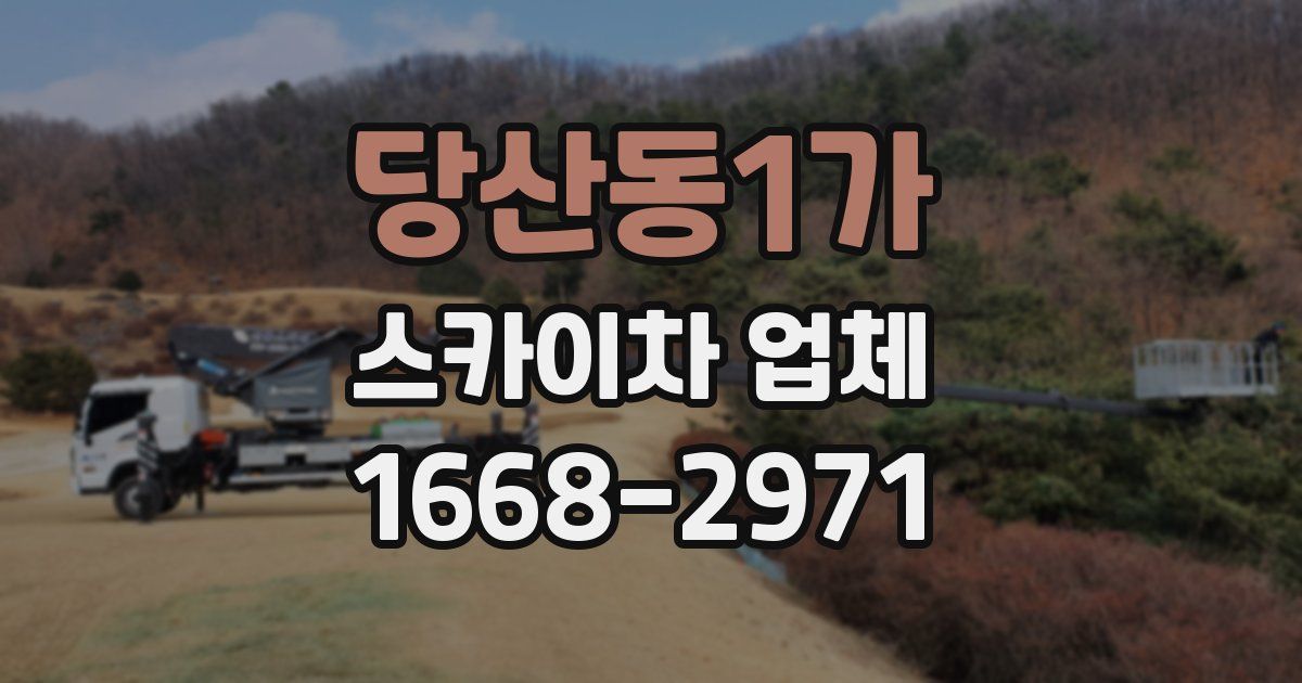당산동1가 스카이차 업체