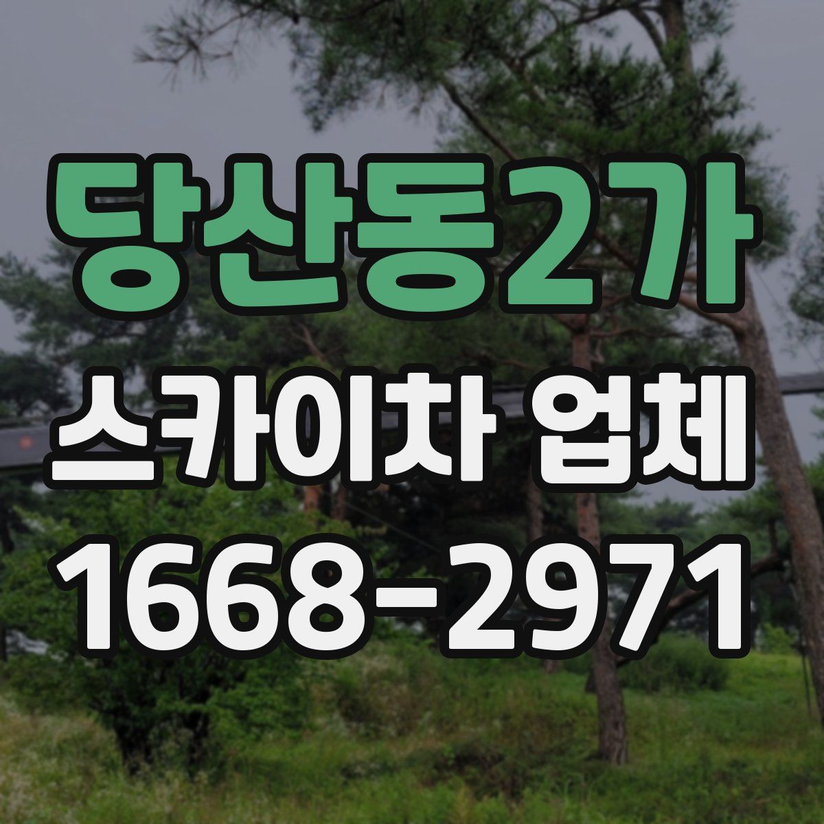 당산동2가 스카이차 업체