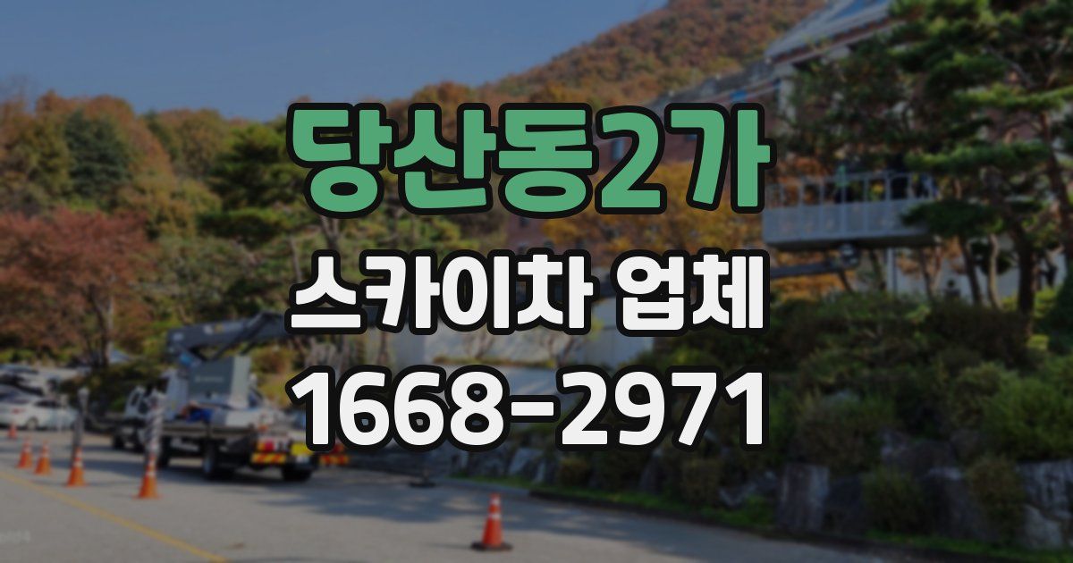 당산동2가 스카이차 업체