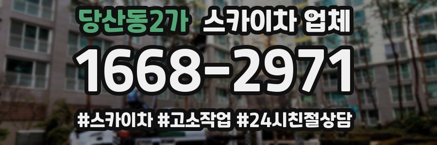 당산동2가 스카이차 업체