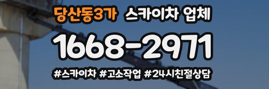 당산동3가 스카이차 업체
