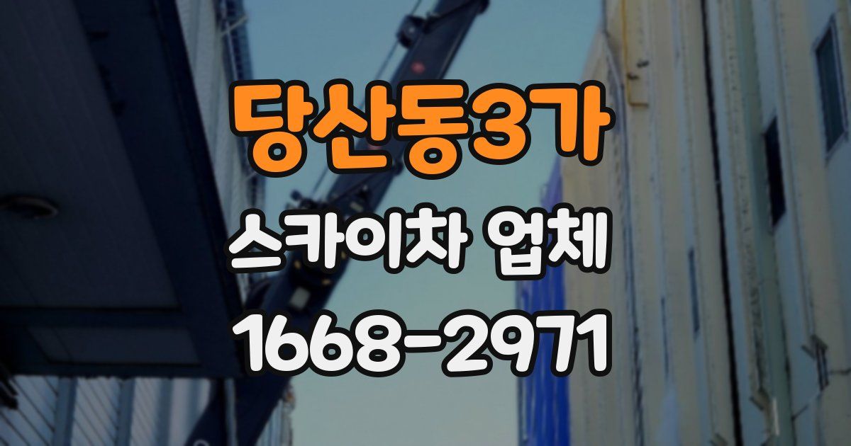 당산동3가 스카이차 업체