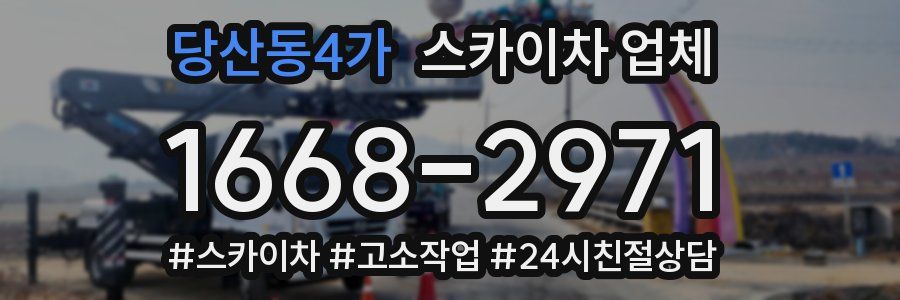 당산동4가 스카이차 업체