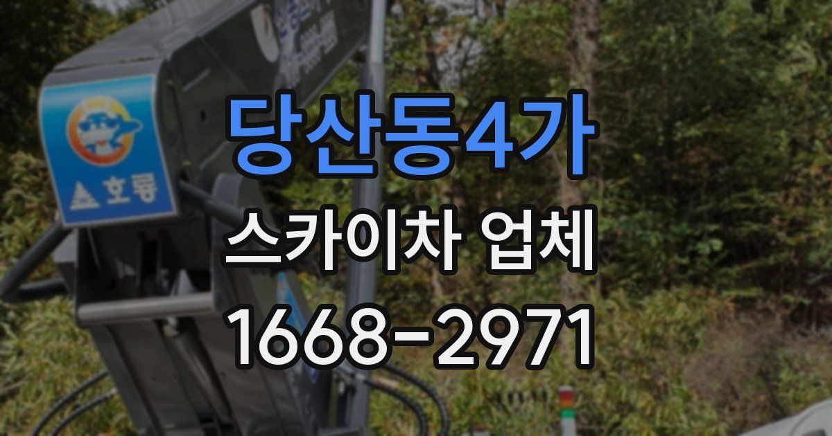 당산동4가 스카이차 업체