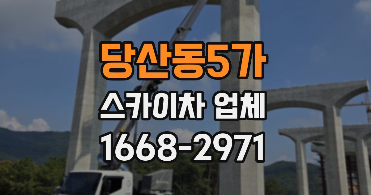 당산동5가 스카이차 업체