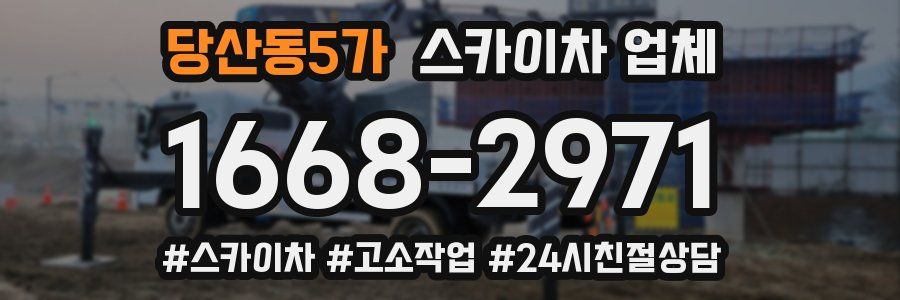 당산동5가 스카이차 업체