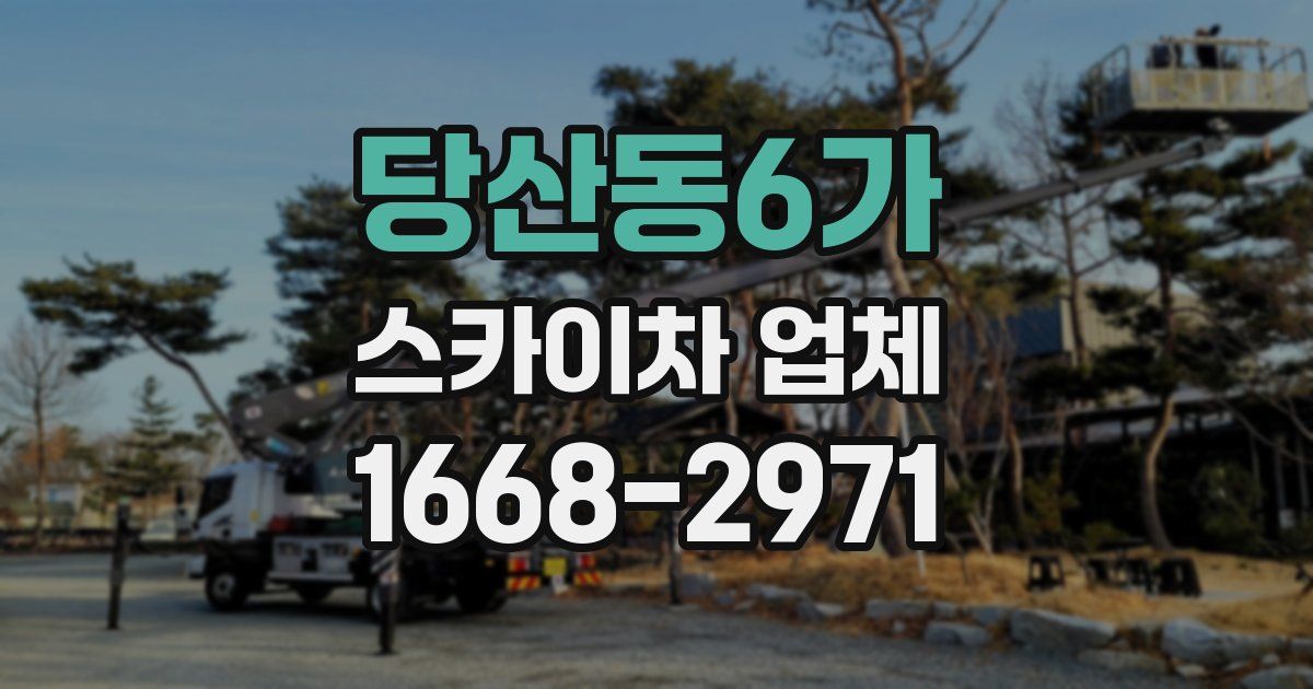당산동6가 스카이차 업체