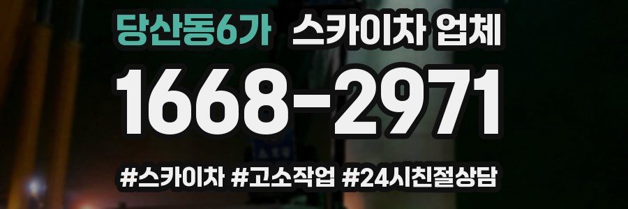 당산동6가 스카이차 업체
