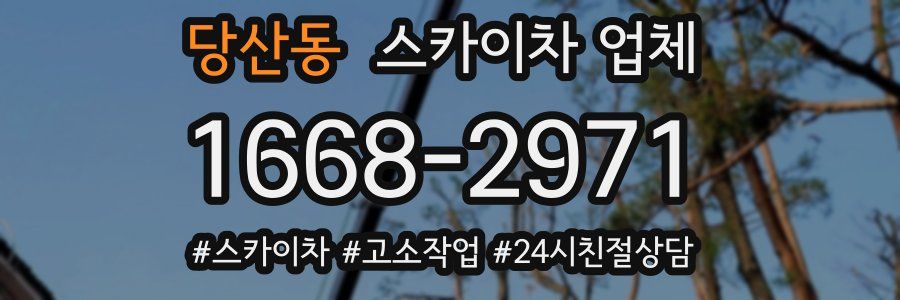 당산동 스카이차 업체
