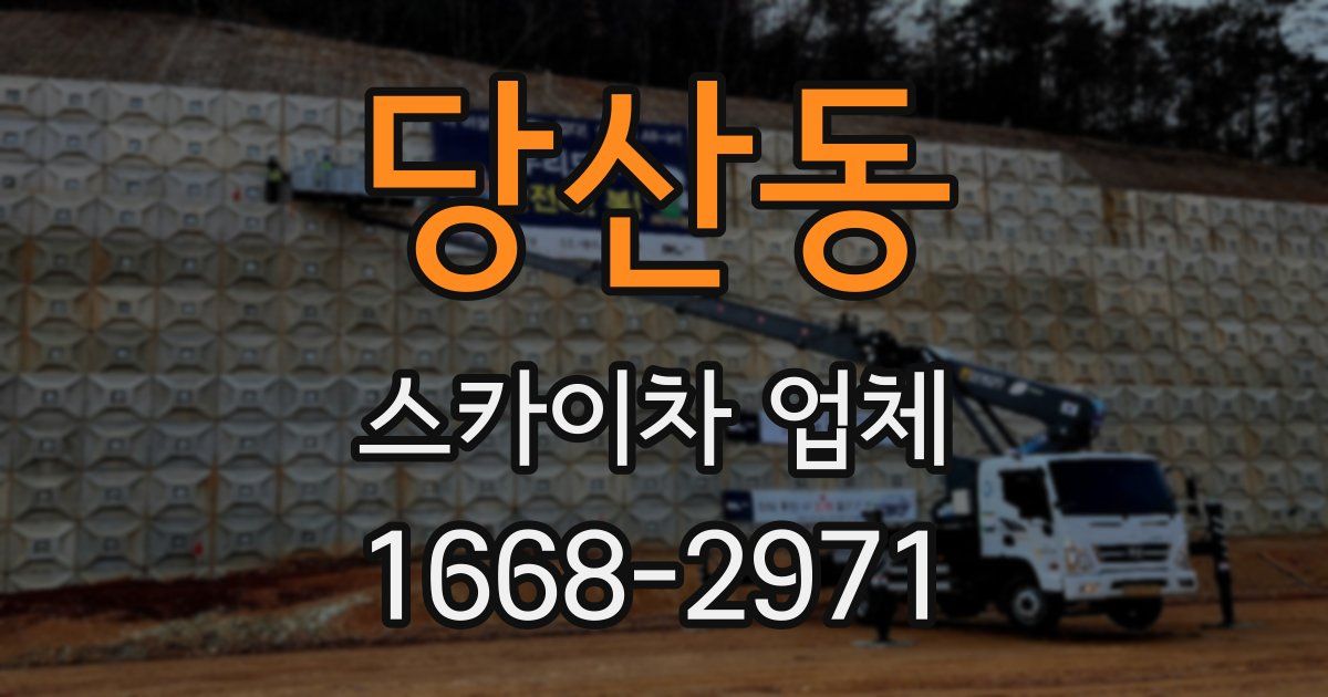 당산동 스카이차 업체