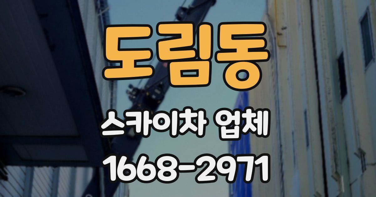 도림동 스카이차 업체