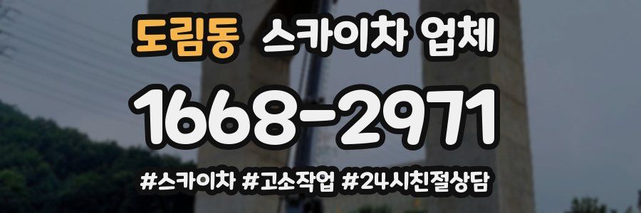 도림동 스카이차 업체