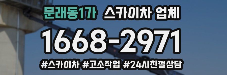 문래동1가 스카이차 업체