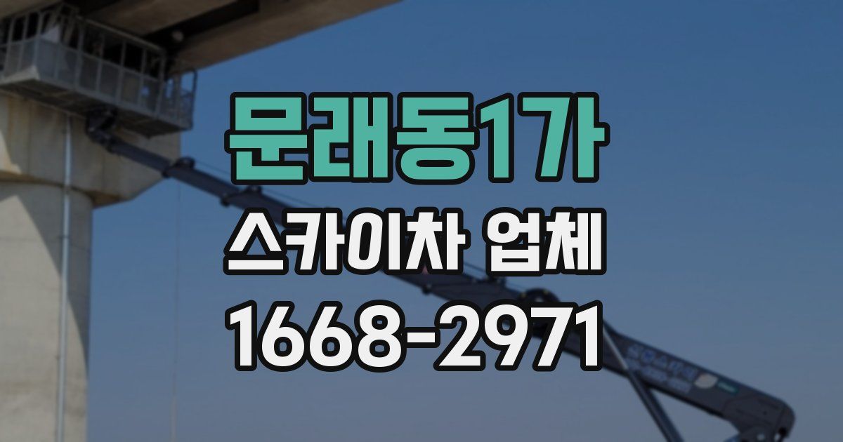 문래동1가 스카이차 업체