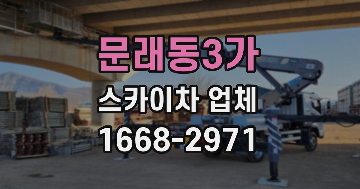 문래동3가 스카이차 업체