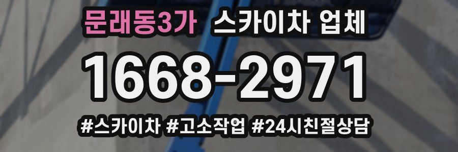 문래동3가 스카이차 업체
