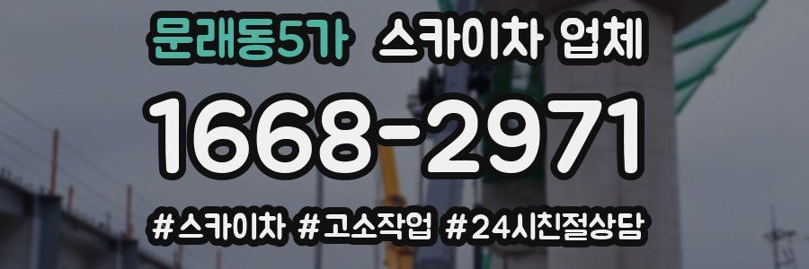 문래동5가 스카이차 업체