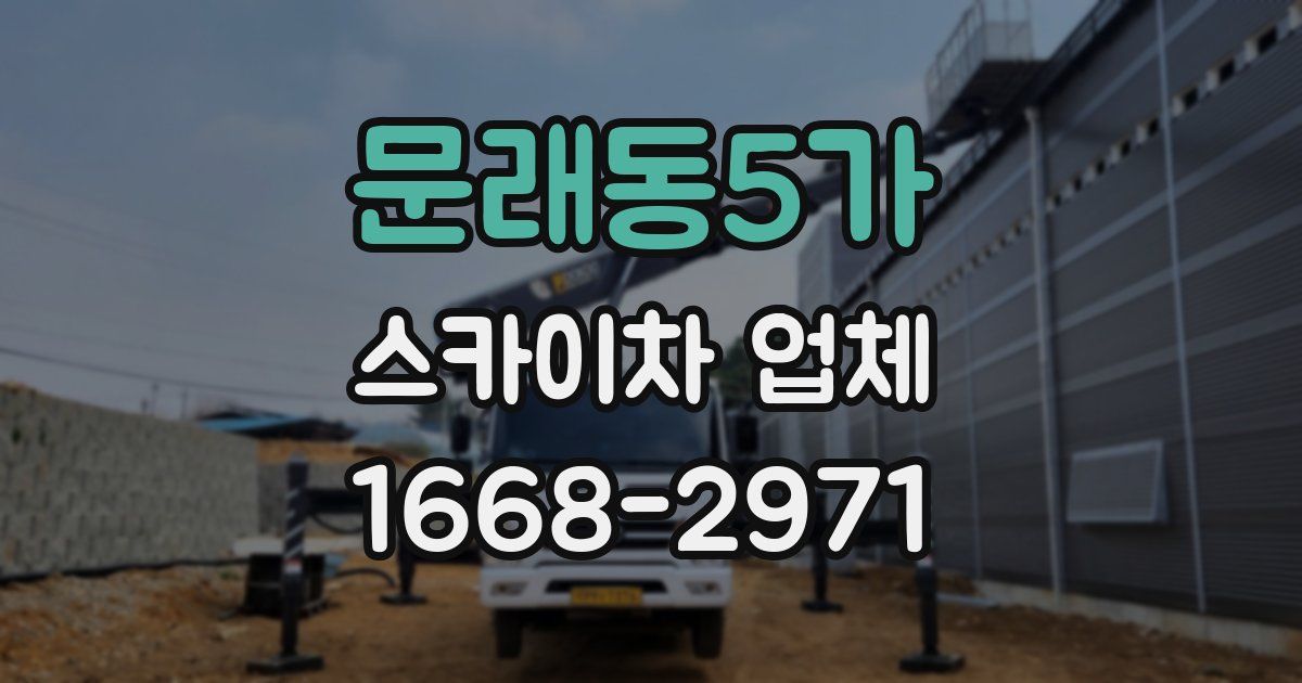 문래동5가 스카이차 업체