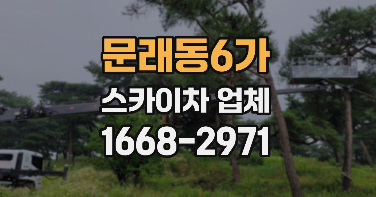 문래동6가 스카이차 업체