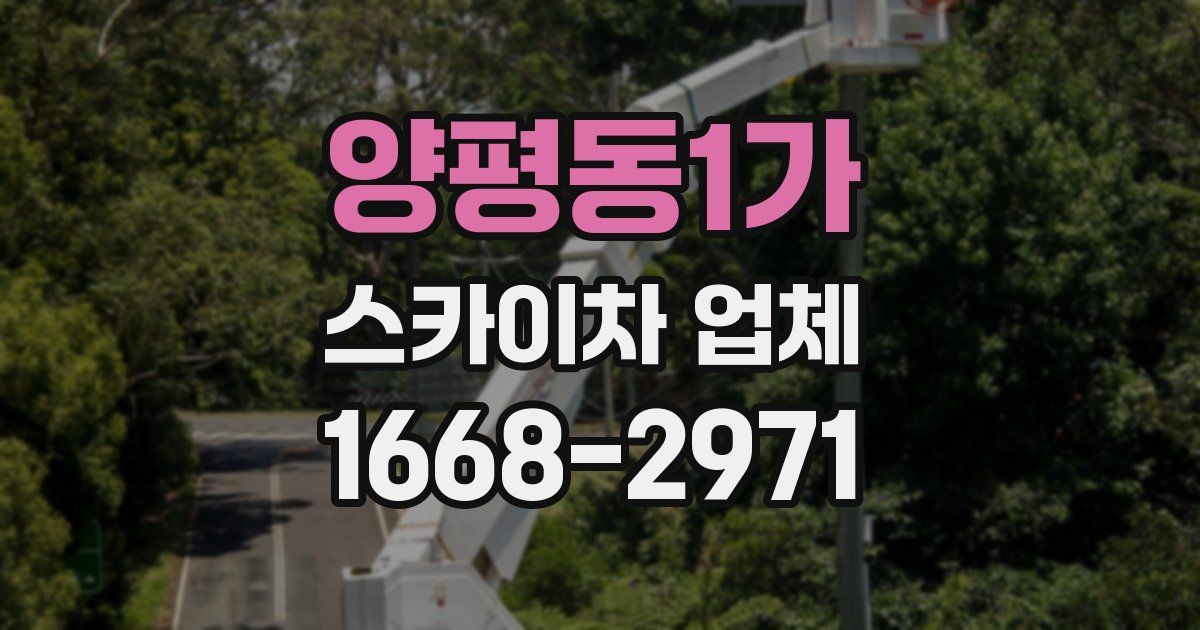 양평동1가 스카이차 업체