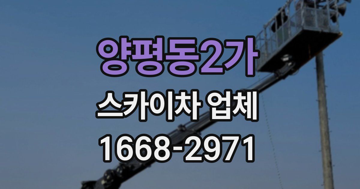 양평동2가 스카이차 업체