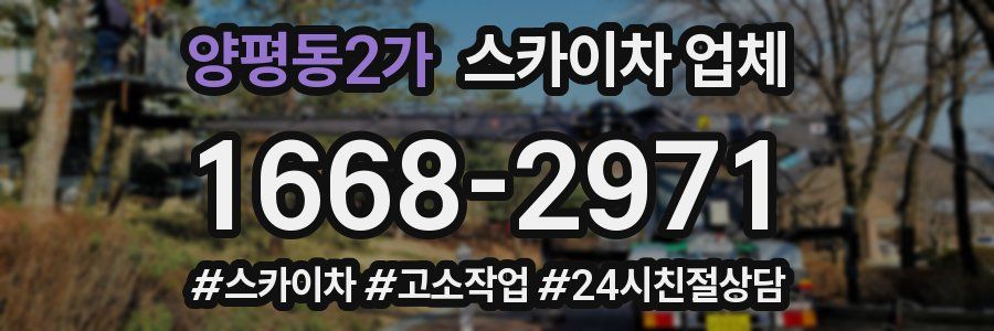 양평동2가 스카이차 업체