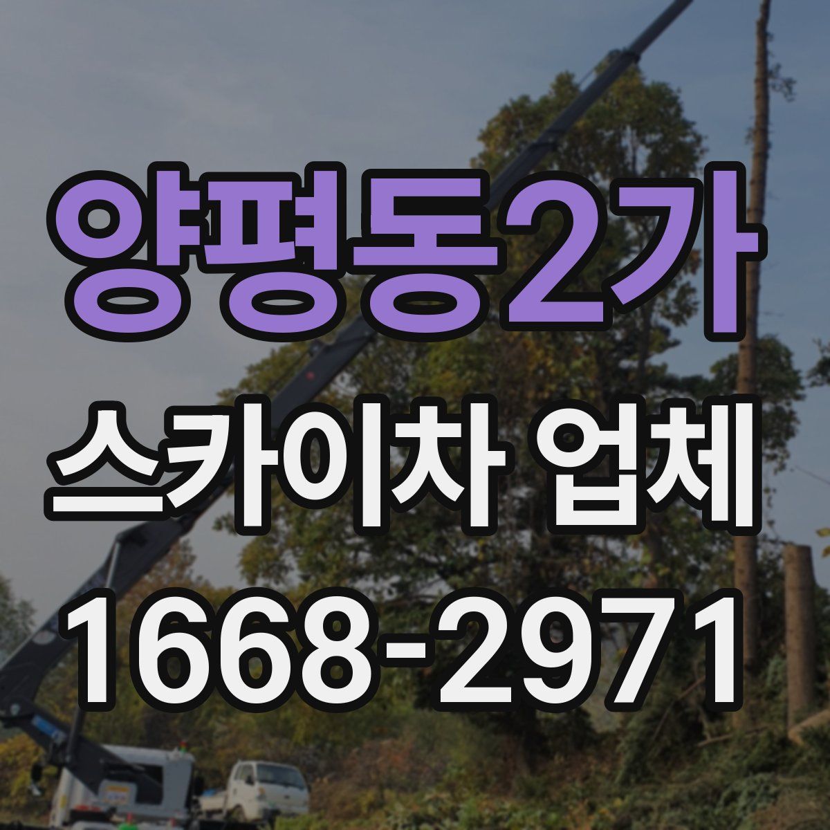 양평동2가 스카이차 업체