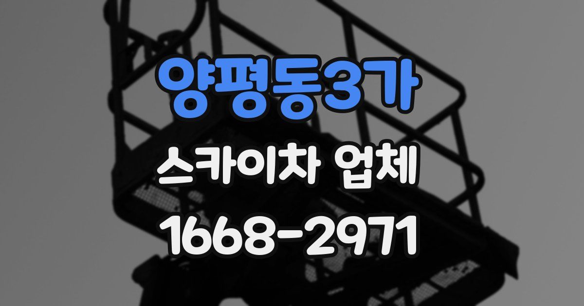 양평동3가 스카이차 업체