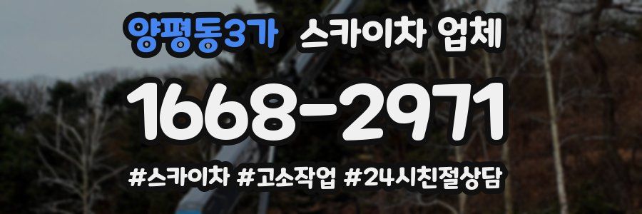 양평동3가 스카이차 업체