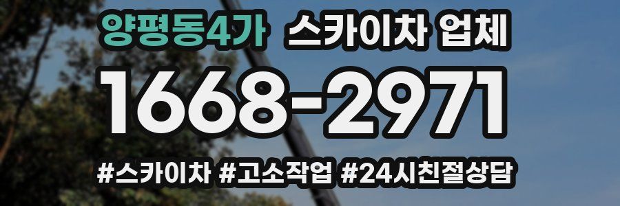 양평동4가 스카이차 업체