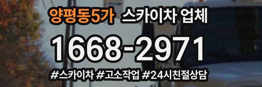 양평동5가 스카이차 업체