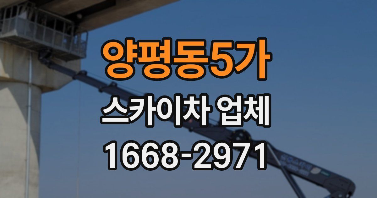 양평동5가 스카이차 업체