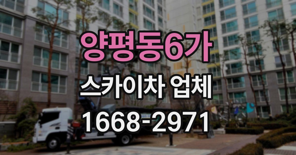양평동6가 스카이차 업체