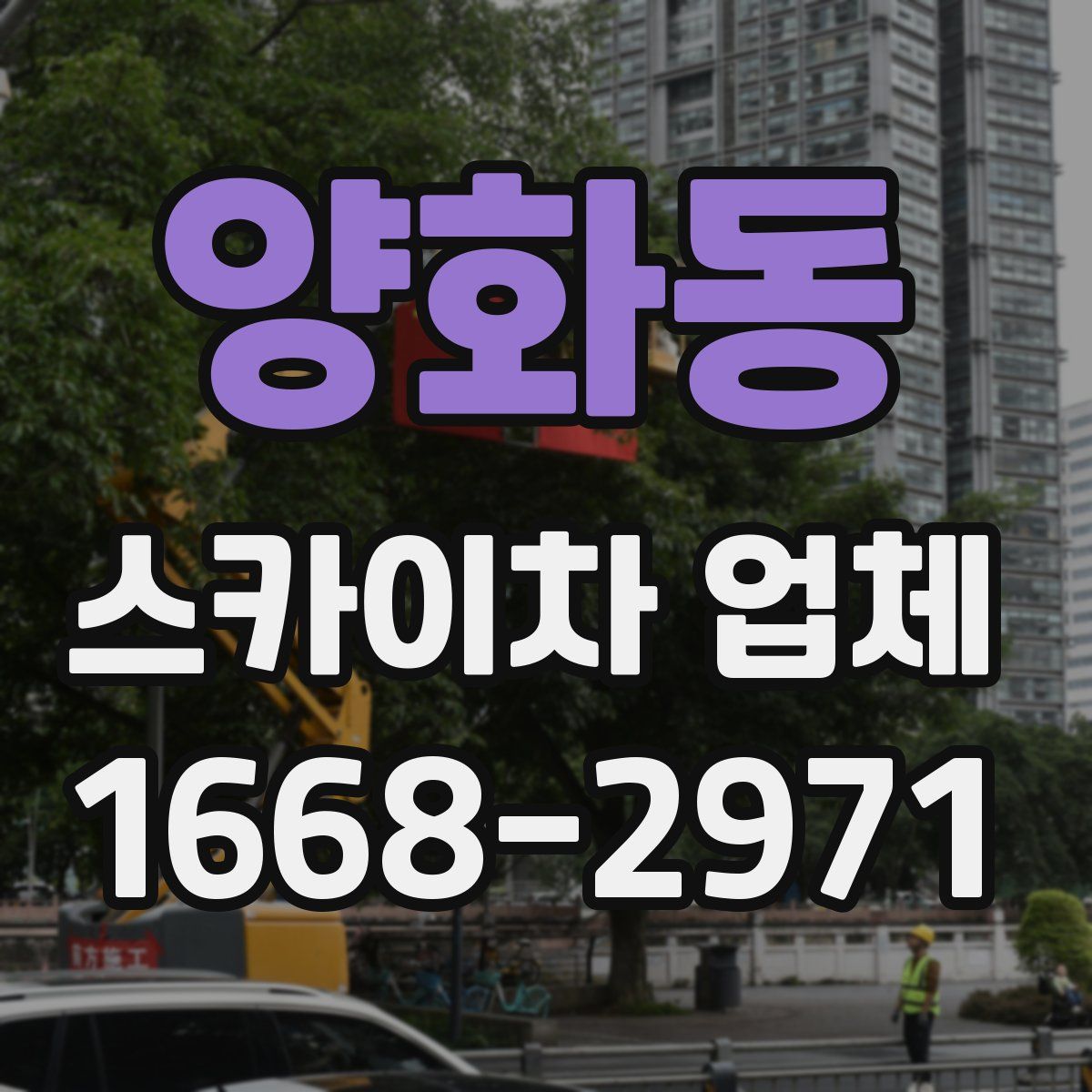 양화동 스카이차 업체