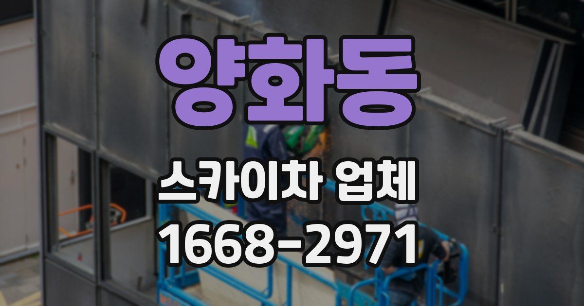 양화동 스카이차 업체