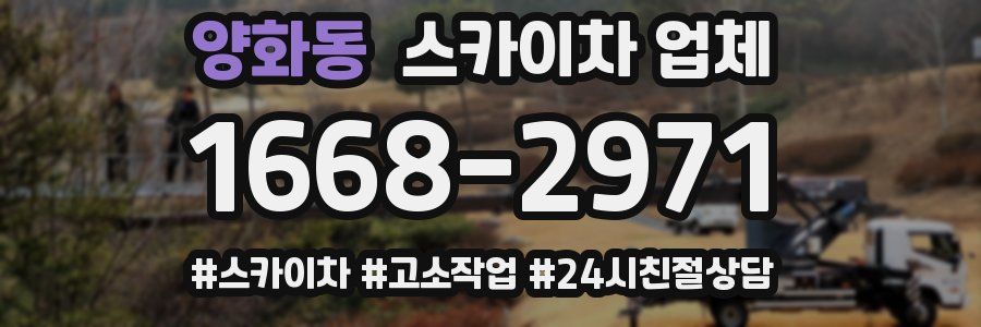 양화동 스카이차 업체
