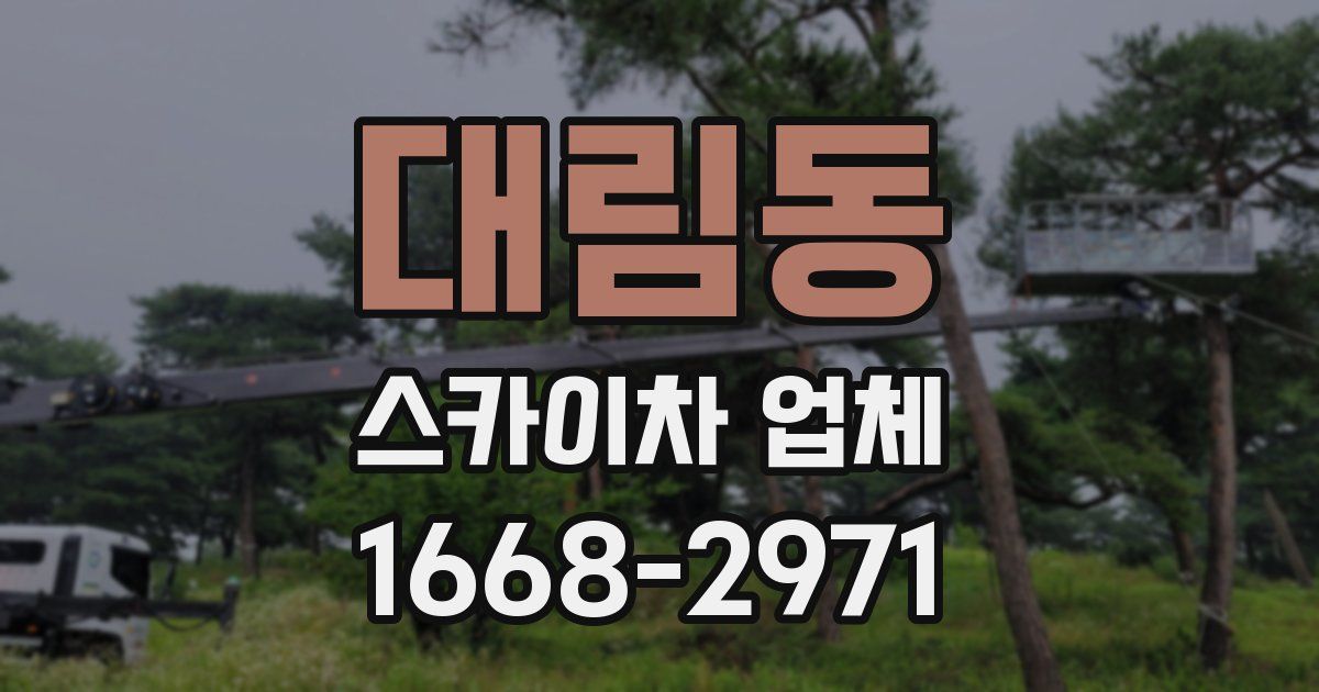 대림동 스카이차 업체