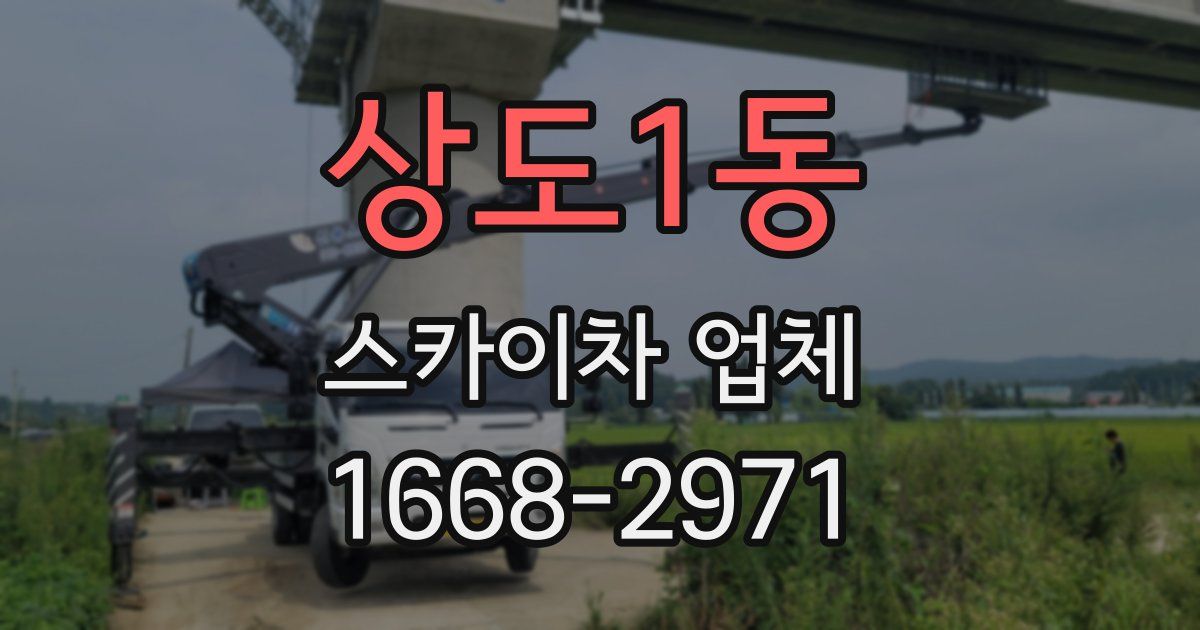 상도1동 스카이차 업체