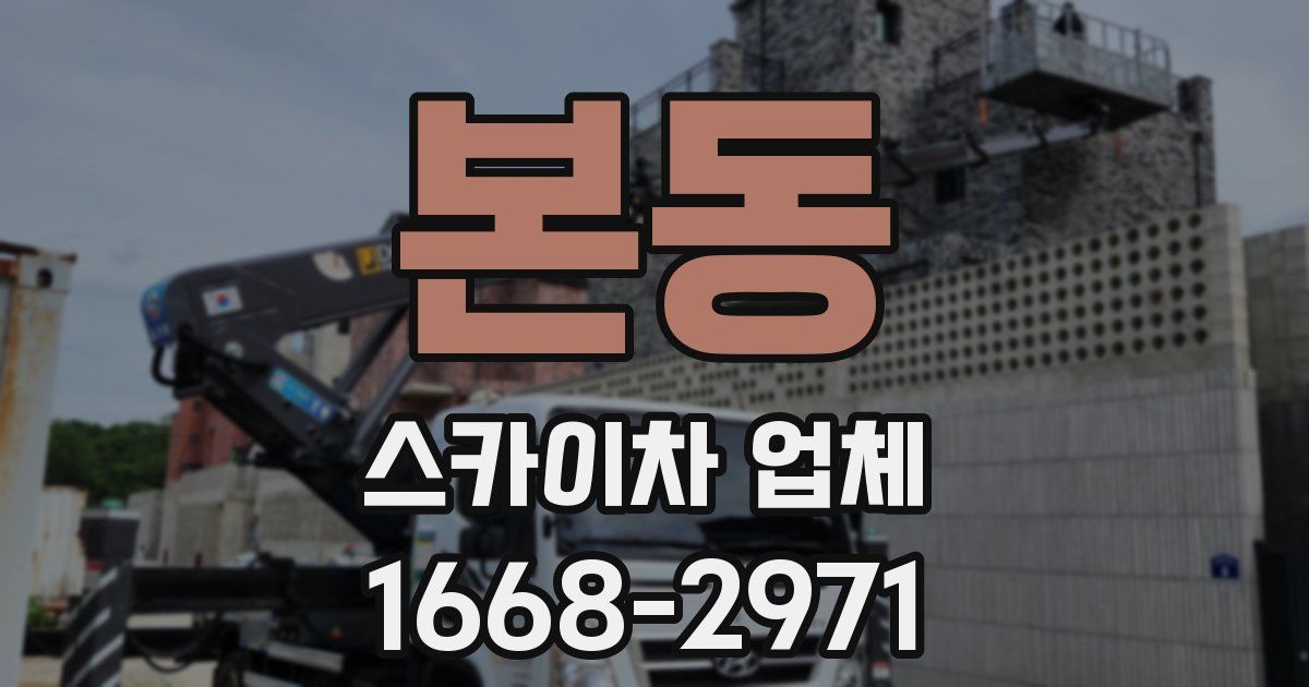 본동 스카이차 업체