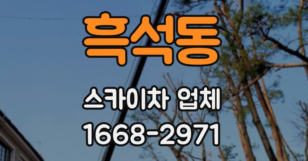 흑석동 스카이차 업체