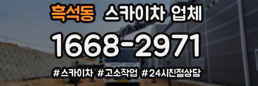 흑석동 스카이차 업체