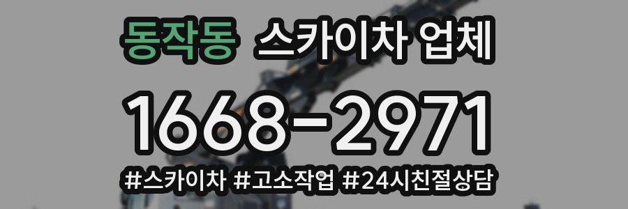 동작동 스카이차 업체