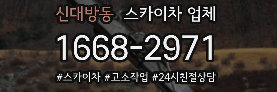 신대방동 스카이차 업체