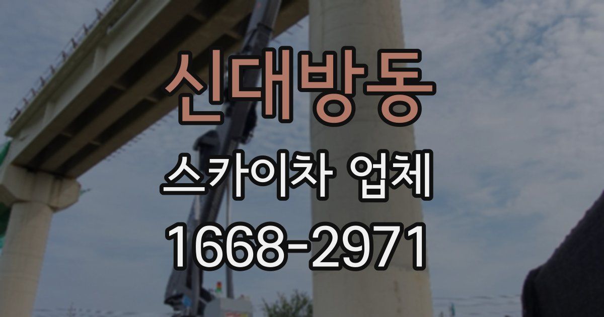 신대방동 스카이차 업체
