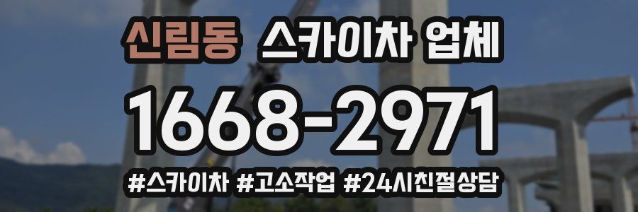 신림동 스카이차 업체