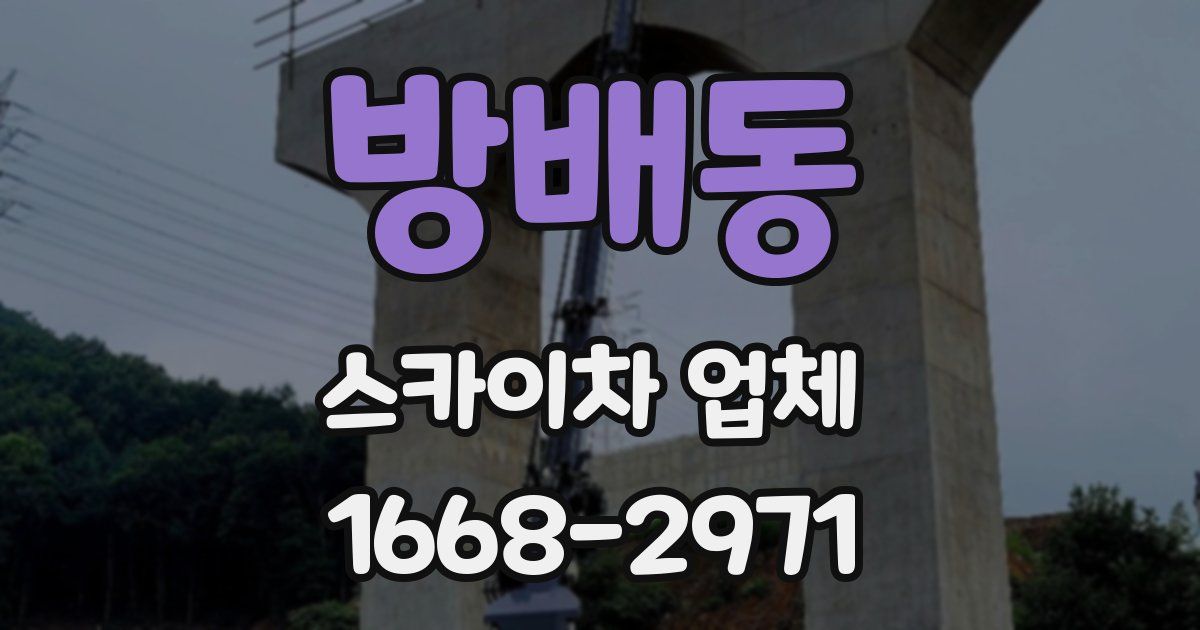 방배동 스카이차 업체