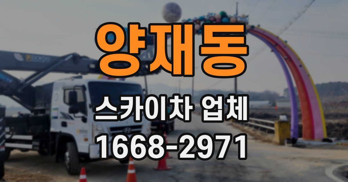 양재동 스카이차 업체